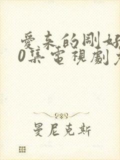 爱来的刚好第60集电视剧免费观看