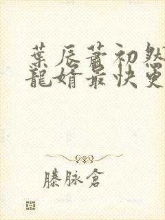 叶辰萧初然上门龙婿最快更新