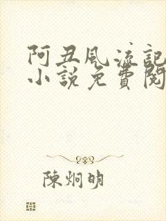 阿丑风流记原著小说免费阅读