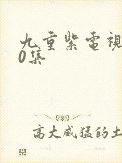 九重紫电视剧40集