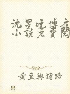 沈星晚傅夜霆的小说免费阅读