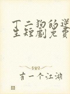 丁二狗的逆袭人生短剧免费