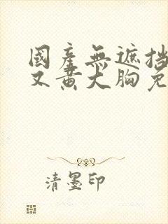 国产无遮挡又爽又黄大胸免费不卡