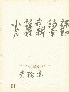 小说我的谍战岁月最新章节