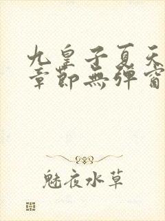 九皇子夏天最新章节无弹窗笔趣阁