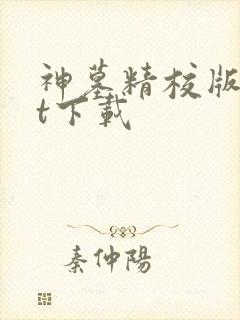 神墓精校版txt下载封面