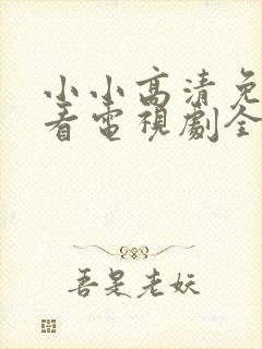 小小高清免费观看电视剧全集封面