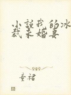 小说我的冰山总裁未婚妻