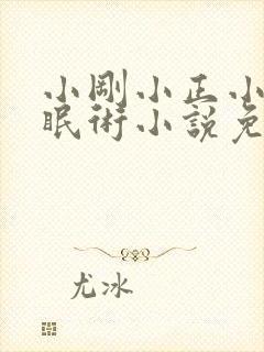 小刚小正小柔催眠术小说免费阅读