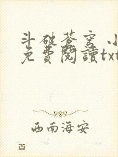 斗破苍穹 小说免费阅读txt封面