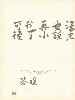 可我再也没有以后了小说免费阅读