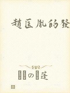 赵匡胤的发家史