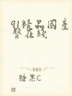 91精品国产蜜臀在线