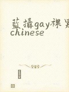 蓝摄gay裸男chinese