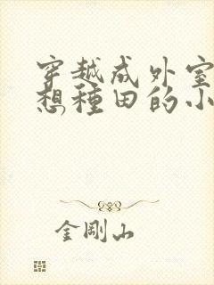 穿越成外室我只想种田的小说