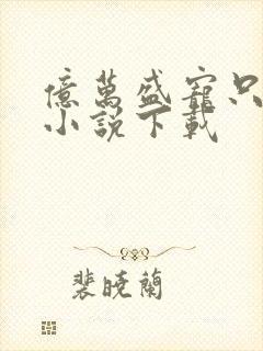 亿万盛宠只为你小说下载