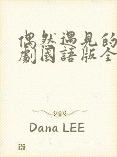 偶然遇见的你韩剧国语版全集免费封面