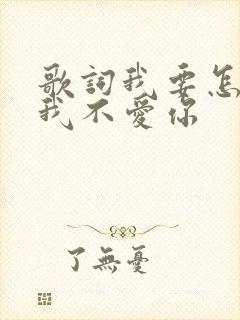 歌词我要怎么说我不爱你