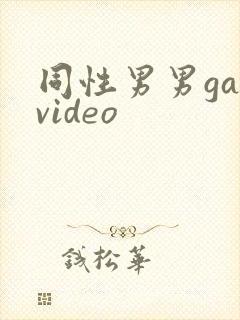 同性男男gayvideo