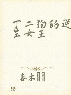 丁二狗的逆袭人生女主
