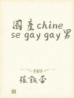 国产chinese gay gay男男