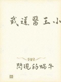 武道医王小妖