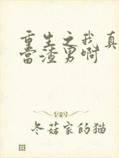 重生之我真没想当渣男啊