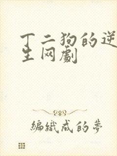 丁二狗的逆袭人生网剧
