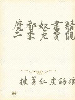 魔都奴隶精兵第二季免费观看