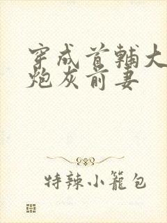 穿成首辅大人的炮灰前妻