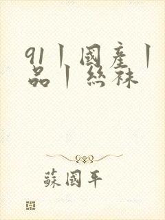 91丨国产丨精品丨丝袜