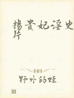 杨贵妃淫史一级片