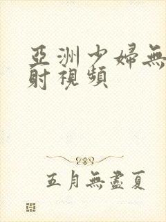 亚洲少妇无套内射视频