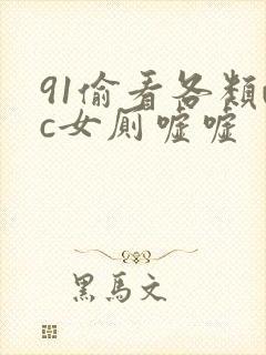 91偷看各类wc女厕嘘嘘封面