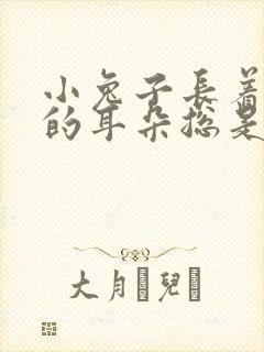 小兔子长着长长的耳朵总是什么的竖起来封面