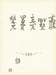 双男主mv高清免费完整版全集在线观看