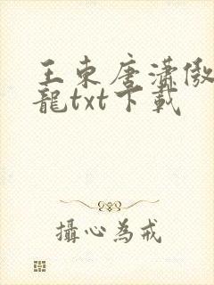 王东唐潇傲世潜龙txt下载