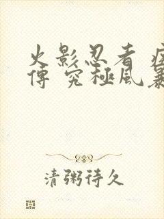 火影忍者 疾风传 究极风暴2下载封面