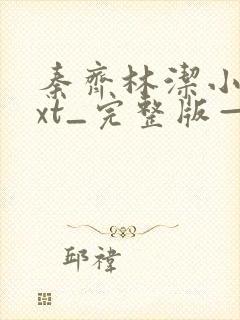 秦齐林洁小说txt_完整版—在线阅读共1