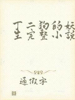 丁二狗的妖孽人生完整小说txt