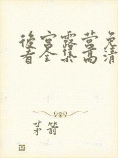 后宫露营免费观看全集高清