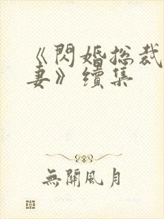 《闪婚总裁契约妻》续集