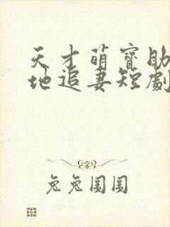 天才萌宝助攻爹地追妻短剧