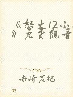 《怒火12小时》免费观看完整版封面