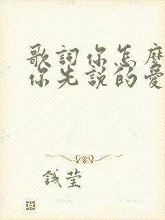 歌词你怎么忘了你先说的爱我封面