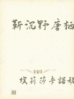 靳沉野唐栖雾