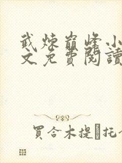 武炼巅峰小说原文免费阅读