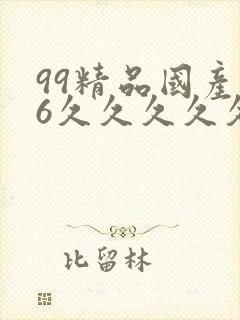 99精品国产96久久久久久