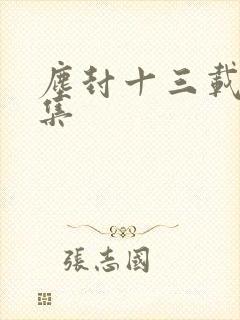 尘封十三载共几集