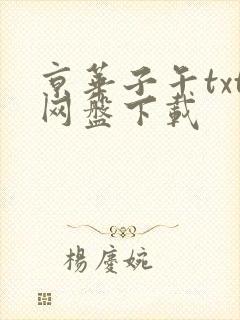 京华子午txt网盘下载
